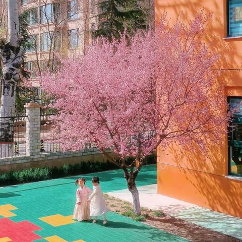 翡翠城蓝天幼儿园—维尼班《海陆空出动》