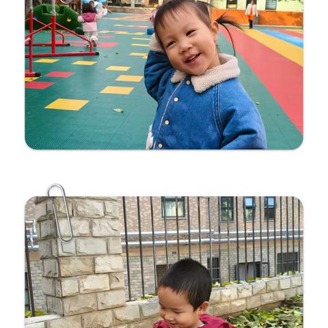 法桐班课程故事——《树叶的秘密》