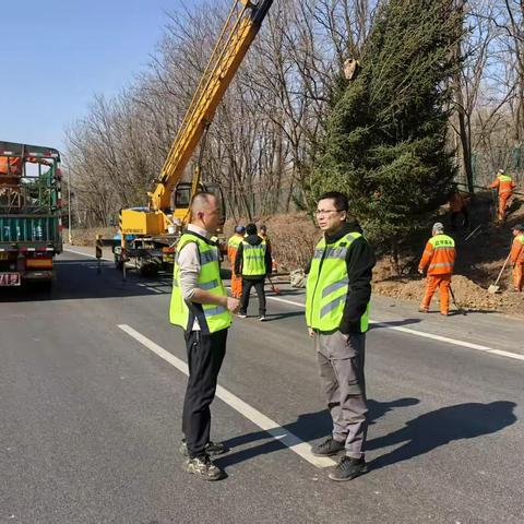 春风催新绿 绿化补植忙～桃仙分公司春季抢植进行中！
