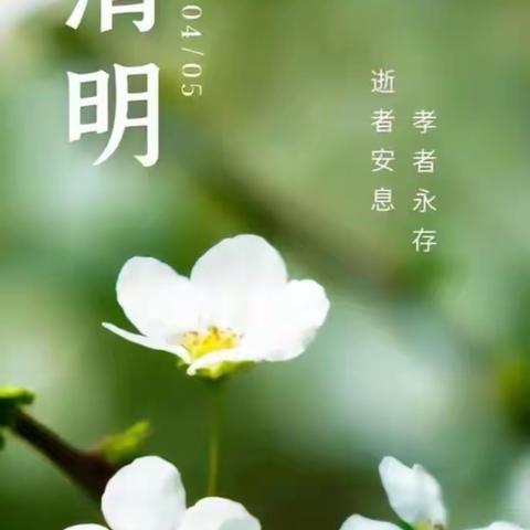 人间四月芳菲始，清明追思沐春色