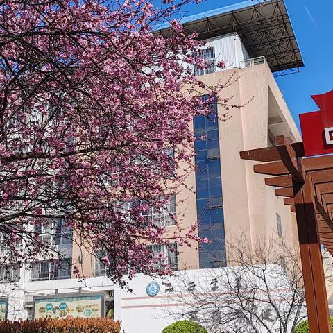 多彩校园，绽放青春