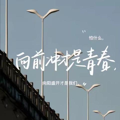 多彩校园，绽放青春