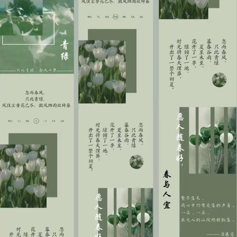 春风十里，植此青绿