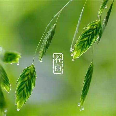 雨生百谷，时至暮春