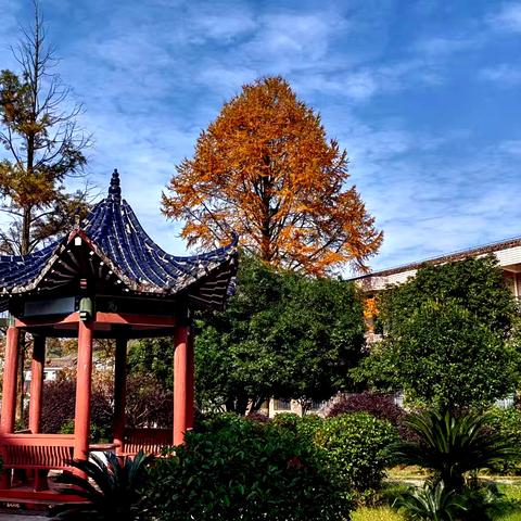 砥砺奋进守初心 、逐梦前行向未来 ﻿——大障中学2024年度工作汇报