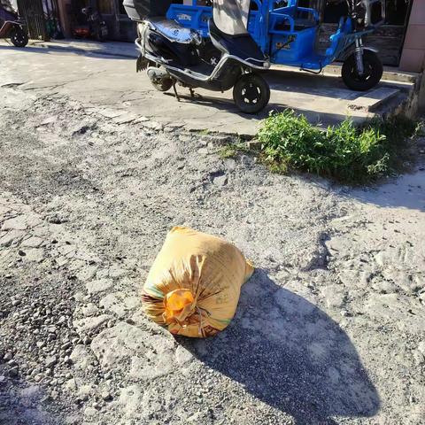 汀田街道联前村12月份环境整治工作简报1