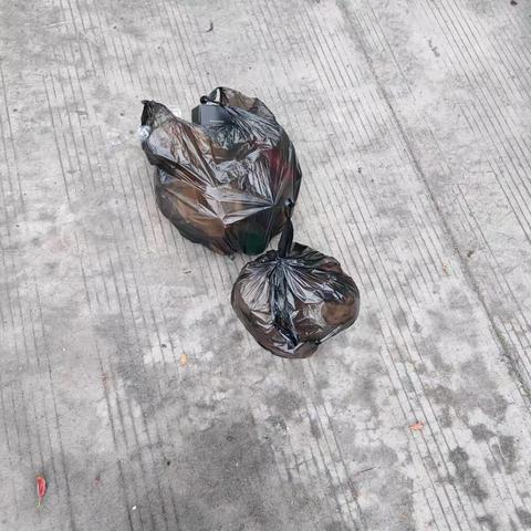 汀田街道联前村12月份环境整治工作简报2