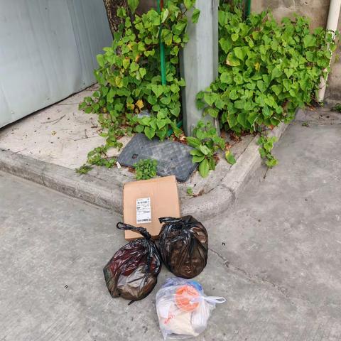 汀田街道联前村2025年1月份环境整治工作简报1