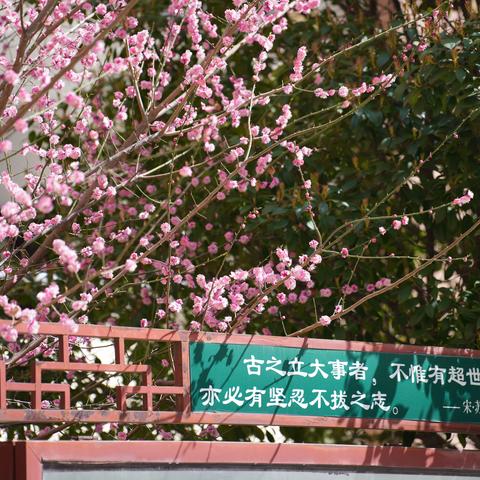 遇见美好-早春校园