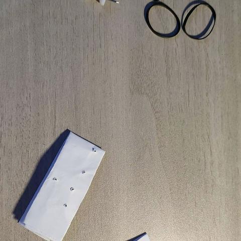 生物实践作业陈禹江