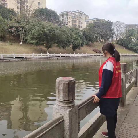 琼山区凤翔街道河湖长制日报（2024年1月30日）