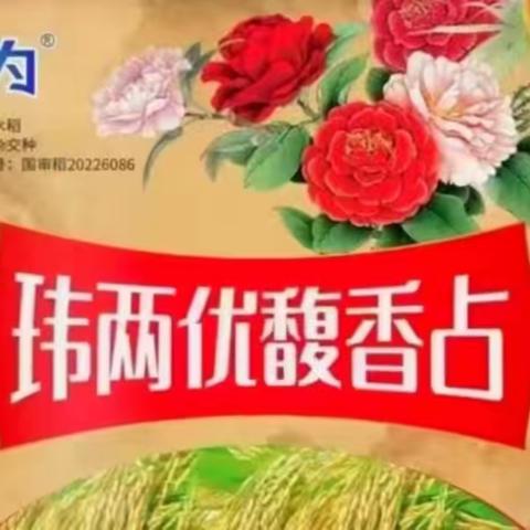 高产长粒香，真心富老乡 热烈庆祝衡阳市玮两优馥香占核心合作伙伴观摩交流会胜利开展