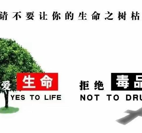 禁毒知识进校园 护航青春助成长 |新一路中学禁毒宣传小常识