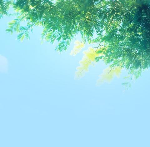 练功最根本的诀窍