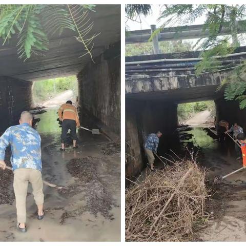 区住建局开展城乡各种下水道进行疏通清理，全面清除蚊媒孳生环境工作简报