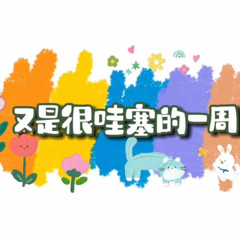 缤纷🍧夏日 限定成长🍭——晋江市蓓蕾幼儿园小五班第十一周精彩回顾