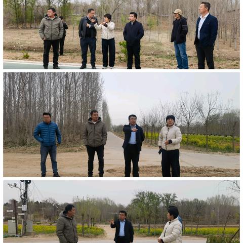 阿胶故里 最美东城【一周工作回顾】（3.24——3.30）