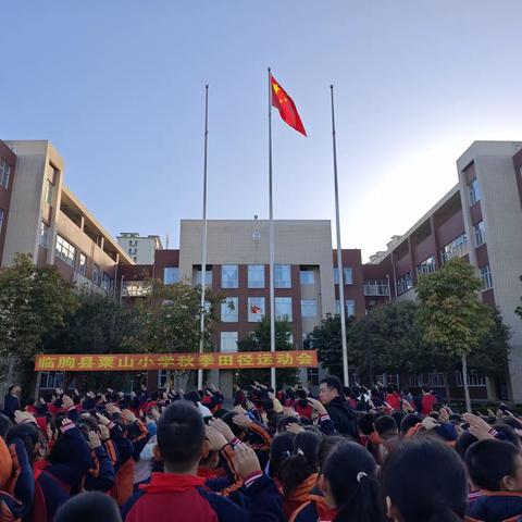 临朐中学附属小学工作周记（11.6-11.12）