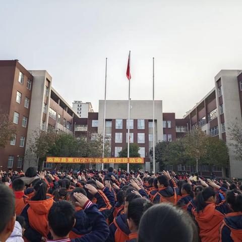 临朐中学附属小学工作周记（11.20-11.27）