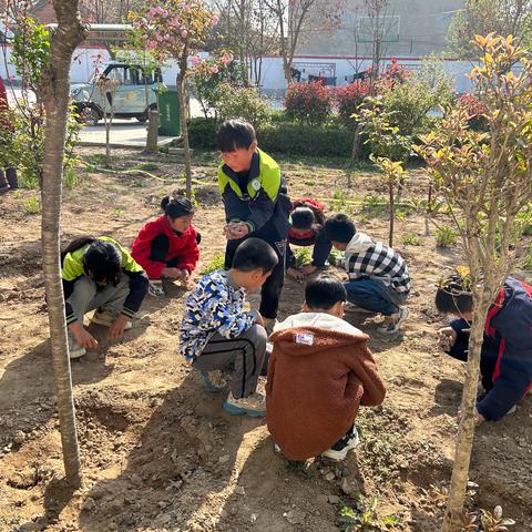 绿色点亮生活，健康护佑生命——丰庄镇秦庄小学主题实践活动