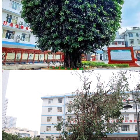 全力以“复”  重建有我 ——海南省农垦海口中等专业学校 ﻿灾后恢复重建记实