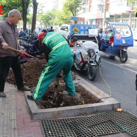 补植补栽行道树   未巡先改见实效