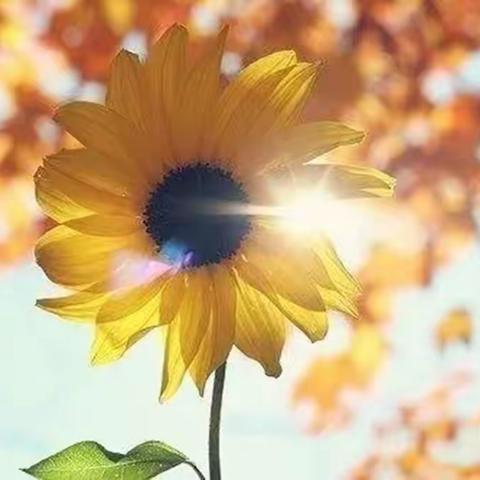 倾情陪伴，静待花开