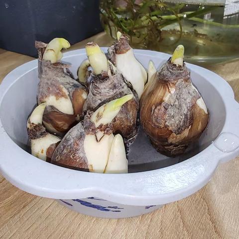 二七班的成长记录册