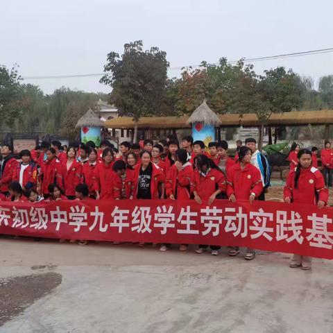 【清明踏春·乐学农耕】武功县苏坊农业现代园清明节研学营火热招募！探秘自然·传承文化·乐享春日