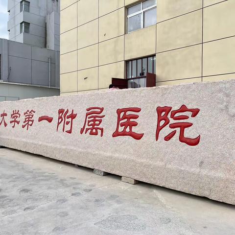 IOE短期学习培训班