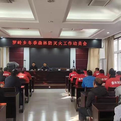 罗岭乡扎实开展森林防灭火宣传月活动