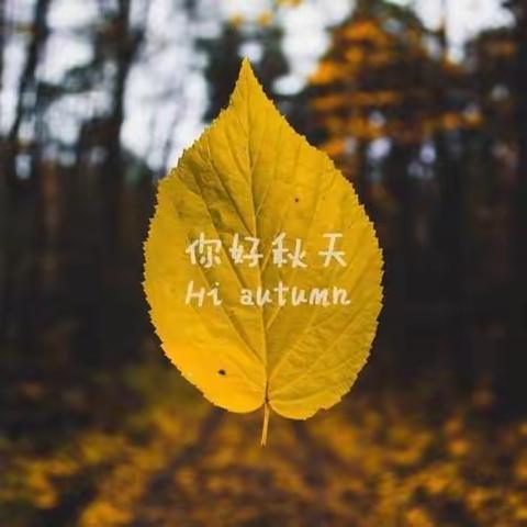 走进秋天