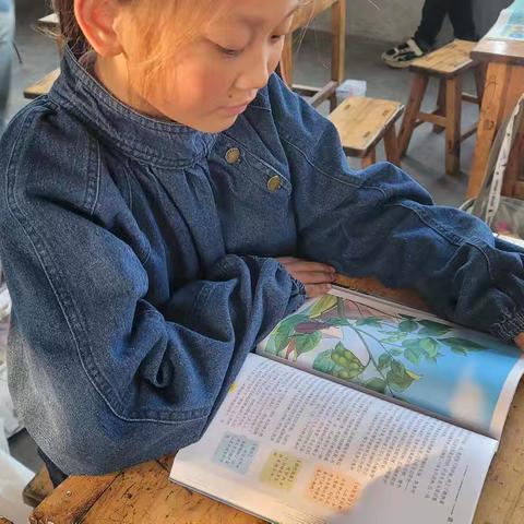 【强镇筑基在行动】书香满校园，墨韵润心田 ——新兴镇岳楼小学5.1班阅读活动