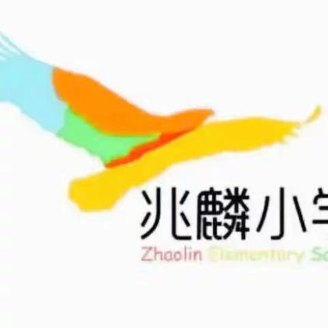 兆麟小学“践行新课标 探索新课堂” ———青年教师课堂教学展示