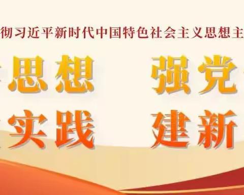 永远跟党走  奋发新征程———南桥中学党支部扎实推进学习贯彻习近平新时代中国特色社会主义思想主题教育