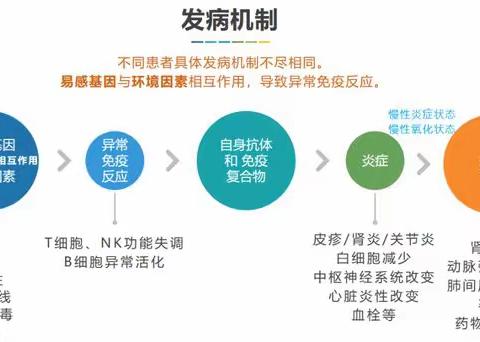 系统性红斑狼疮健康教育