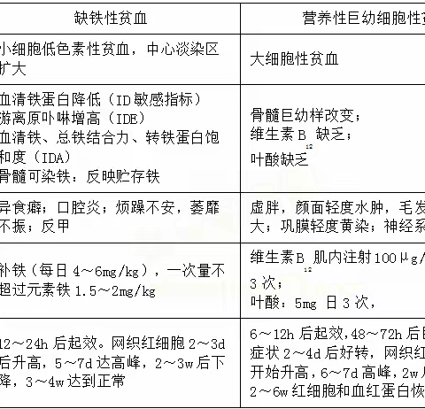 血液内科健康教育处方- 巨幼细胞性贫血