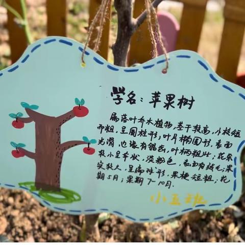 不负春光 “植”得期待