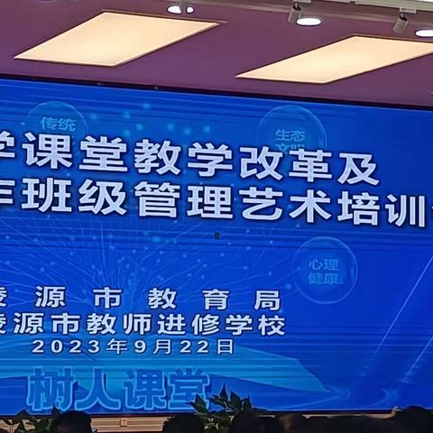 专家引领明师指路，踔厉奋发不负韶华——中小学课堂教学改革及班主任工作管理艺术培训会心得