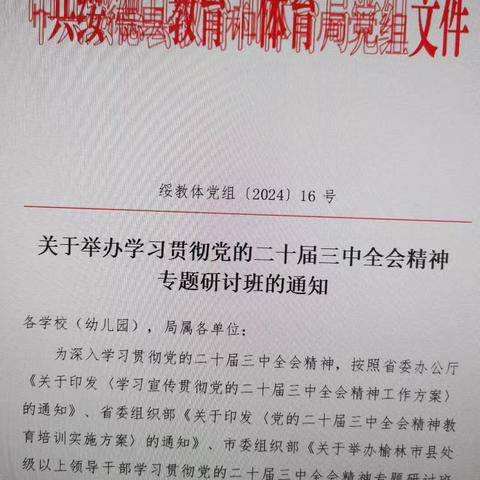 勇担责任 共绘未来 ——绥德县郝家桥小学学习贯彻党的二十届三中全会精神情况汇报