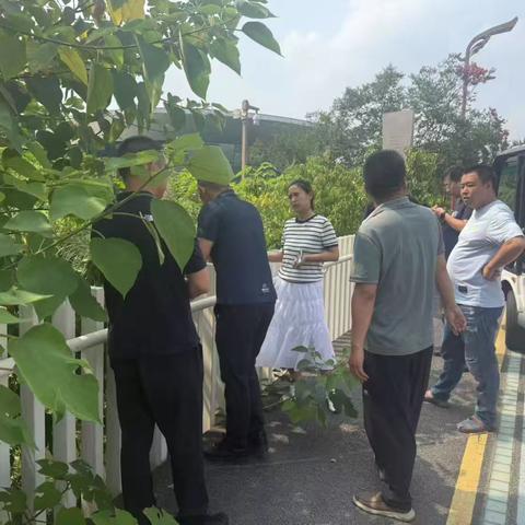 凤凰山街道