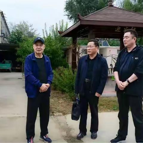 成武县：银龄颐乐重阳节 专家义诊暖人心