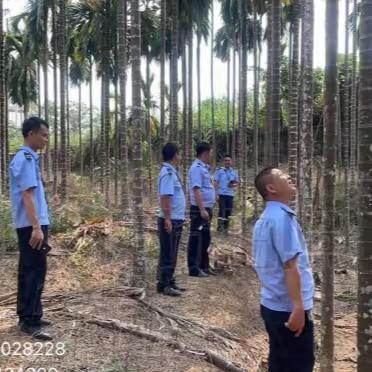 西昌镇开展大气污染防治日常巡查工作