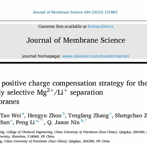 高选择性Mg2+Li+分离纳滤膜的层间正电荷补偿策略