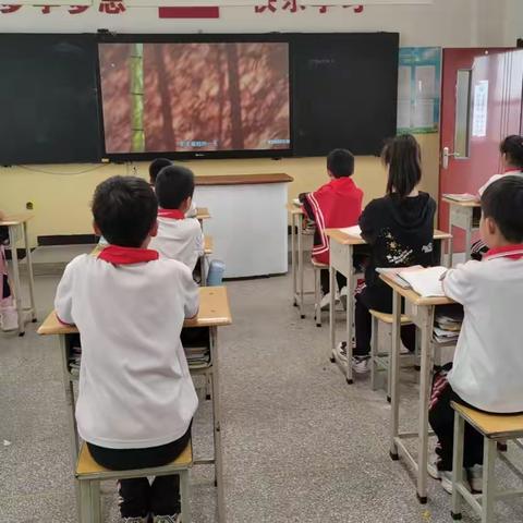 夏至探趣，童心传韵