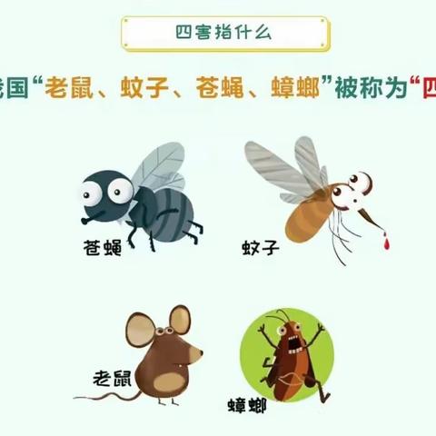 【碑林区长乐坊街道】病媒生物防制小知识——长乐社区