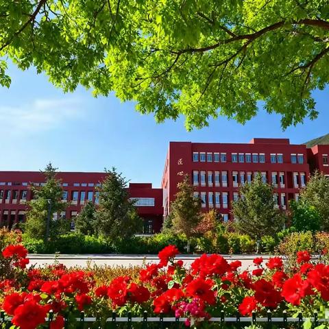 技能逐梦绽芳华  以赛促教启新程