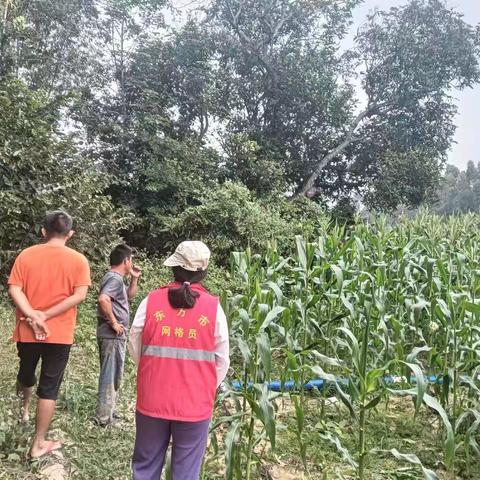 老欧村网格员协助村委调解居民邻里纠纷，促进群居和谐氛围