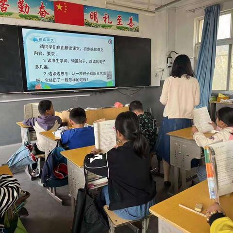 教师听评课：启迪教学，激发学习