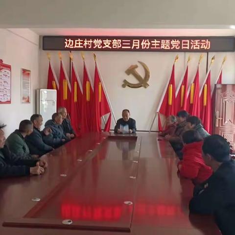 边庄村党支部2024年3月份主题党日活动